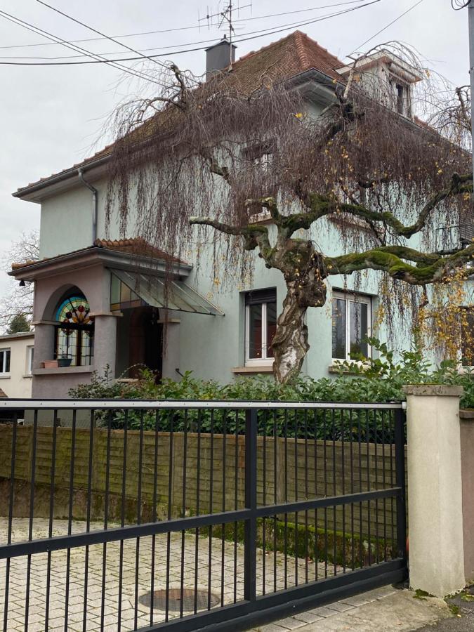 Les Petites Plumes D'hag Appartement Haguenau
